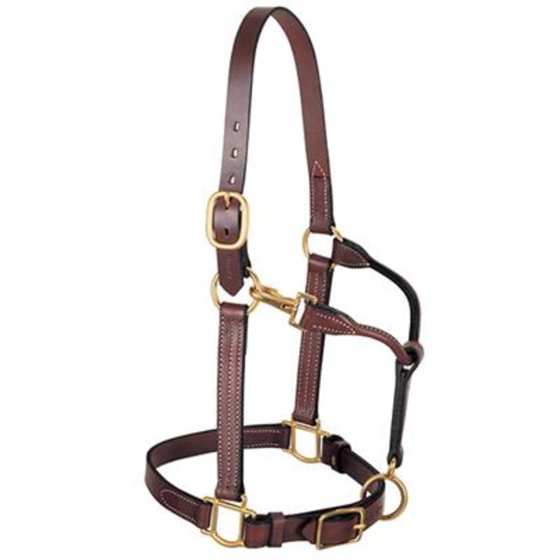 3-in-1 All Purpose Halter, 1